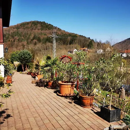 Haus Katz Apartament